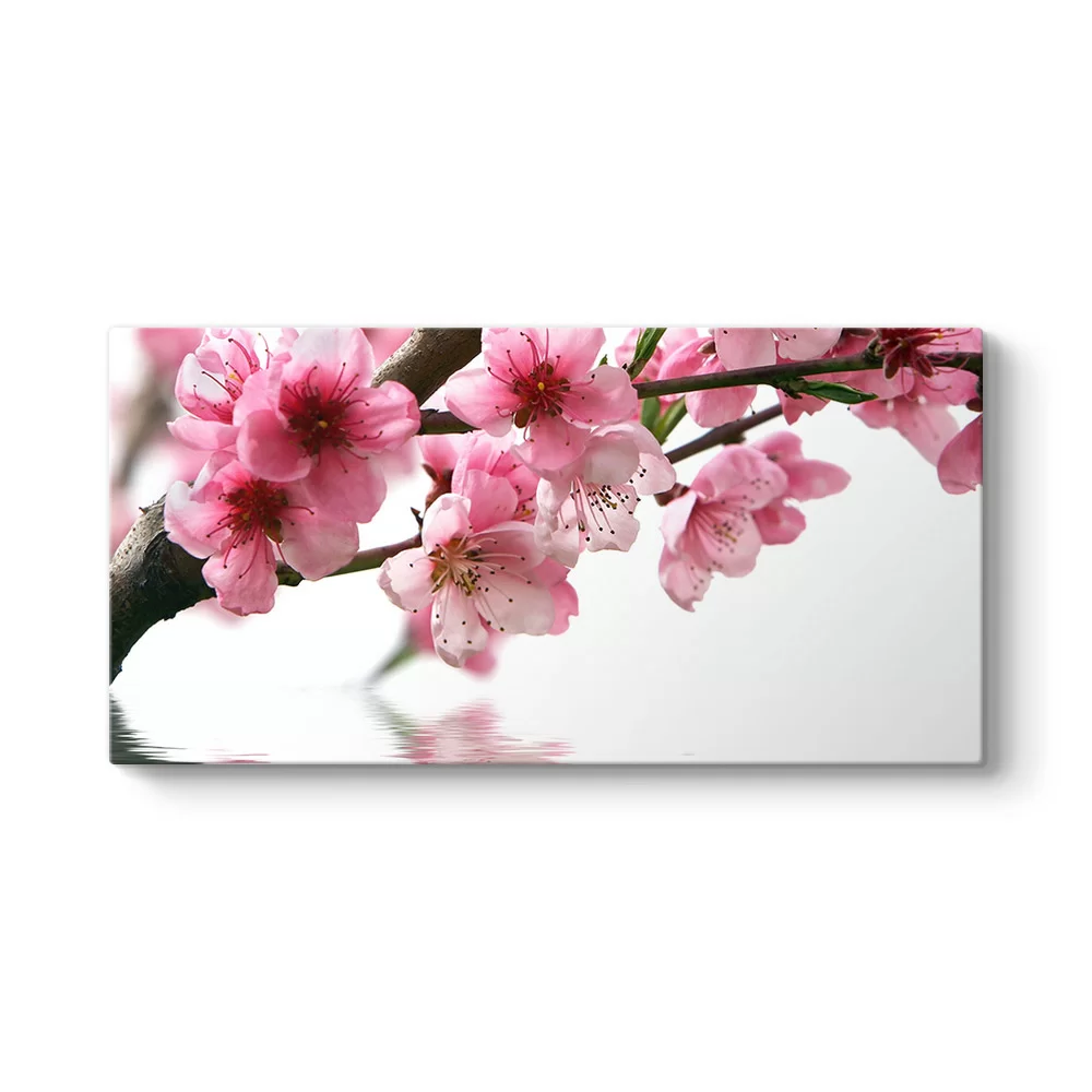 Pembe Çiçek ve Su Tablosu - Model 5